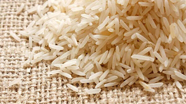 Rusya pirinç ihracatını yasaklamaya hazırlanıyor