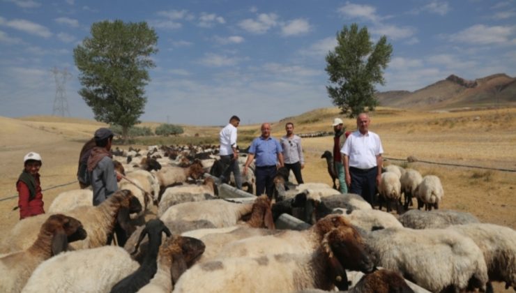 Tuşba Belediyesi’nden çiftçilere sıvat desteği