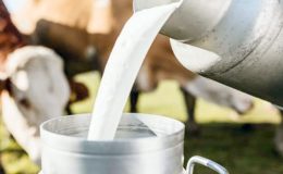Çiğ süte yüzde 8,5 zam geliyor!